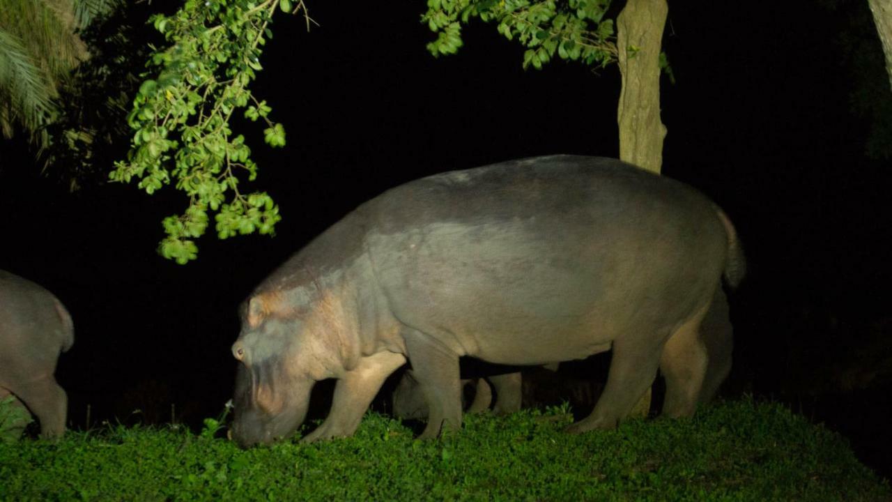 Kwalucia Private Safari Retreat Hotel Saint Lucia Estuary Екстериор снимка