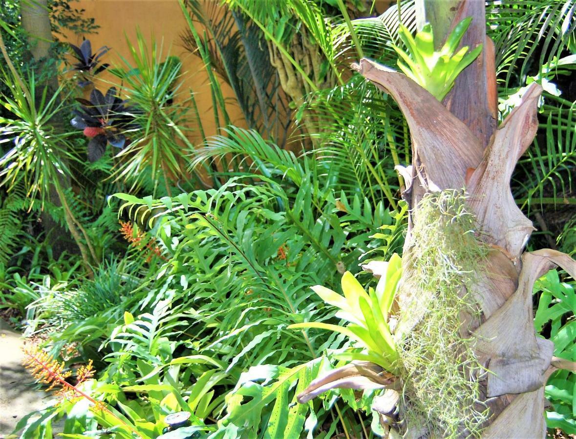 Kwalucia Private Safari Retreat Hotel Saint Lucia Estuary Екстериор снимка